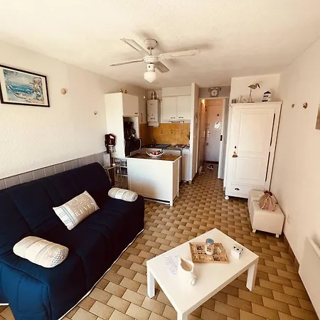 Apartment Cap D'agde: Proche Et Port, Parking Prive - Fr-1-723-151 *